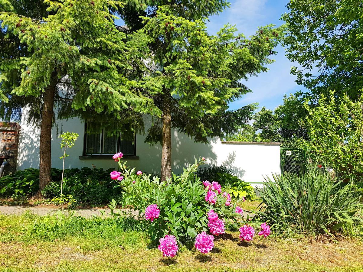 Kuti Vendeghaz Hotel Bakonykuti Exterior photo